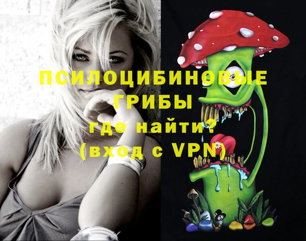 эйфоретик Бугульма
